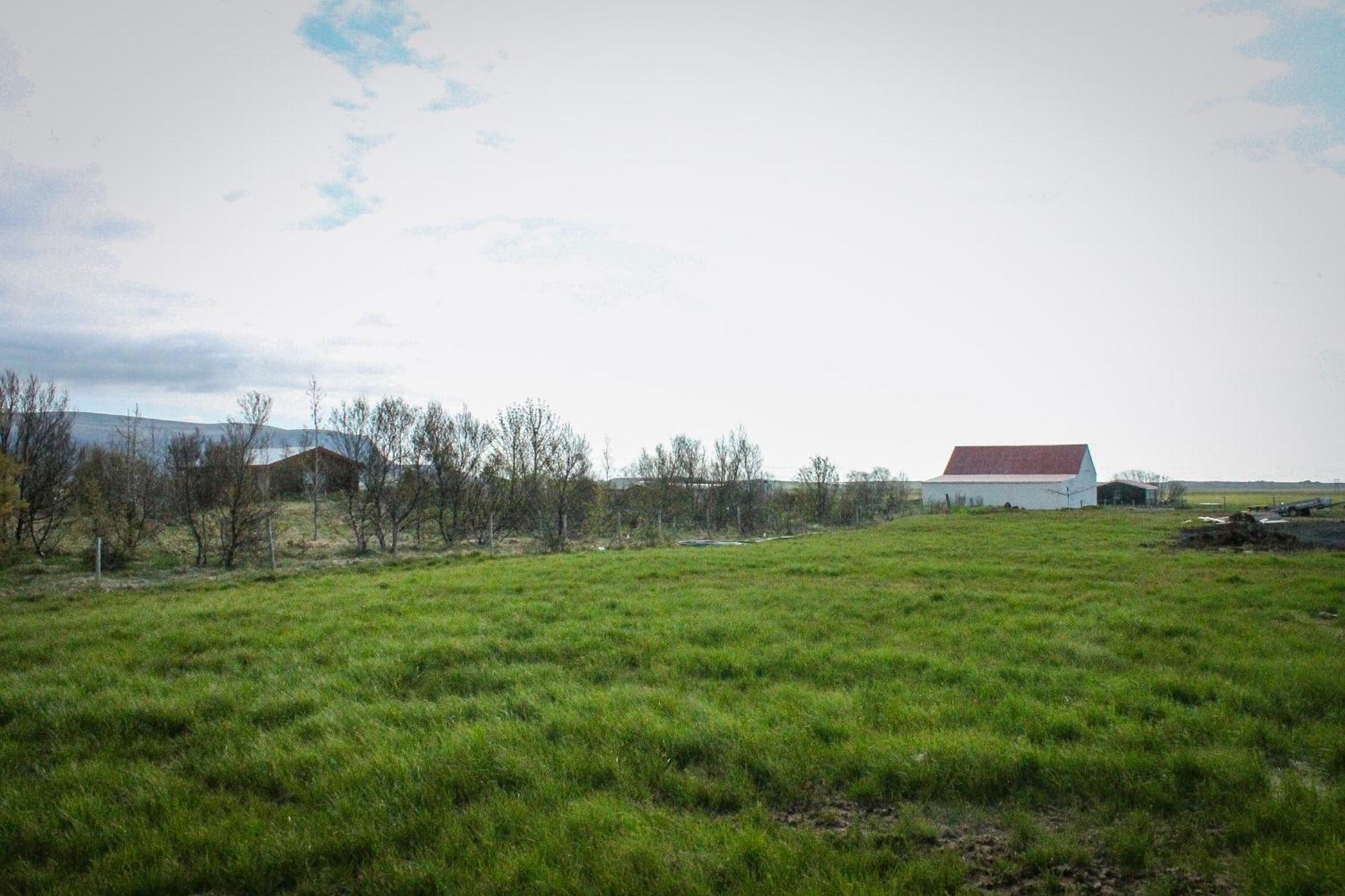 Sun-Cottage South Iceland Olfus المظهر الخارجي الصورة